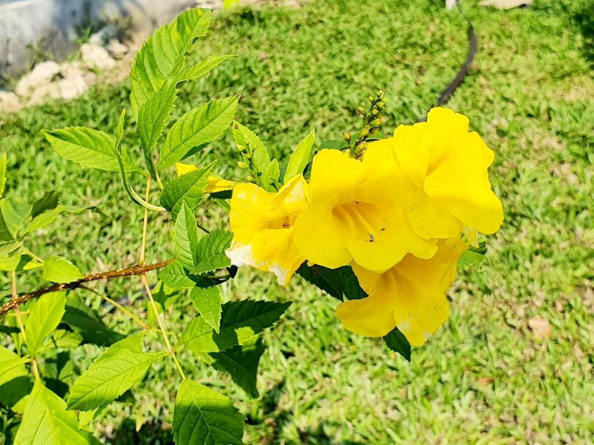 B-Tel Chomthong Resort Chiang Mai Chom Thong Ngoại thất bức ảnh